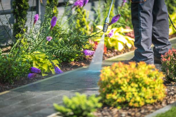 Best Animal Enclosure Cleaning  in Carlisle Rockledge, AL